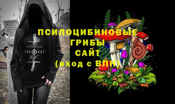 кокаин Белокуриха