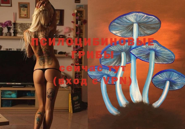стафф Белоозёрский