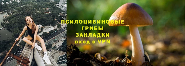 кокаин Белокуриха