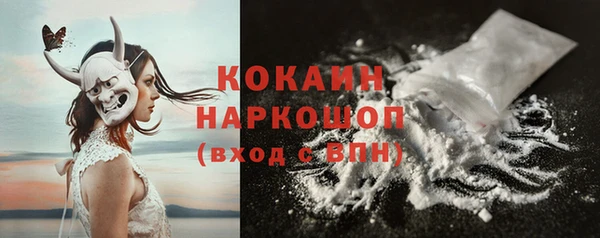 твердый Богданович