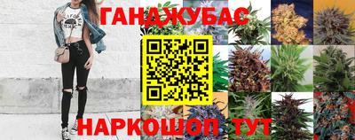 сатива Ачхой-Мартан