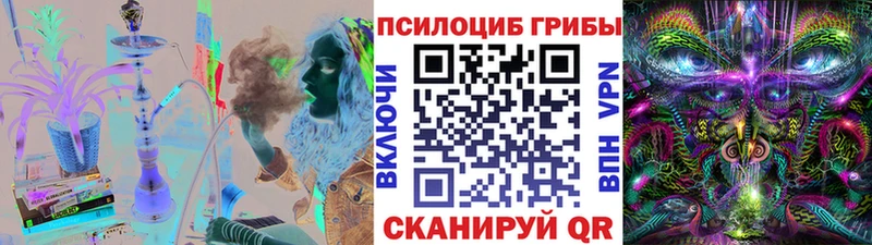 мега tor  Дагестанские Огни  Псилоцибиновые грибы мухоморы  цены наркотик 
