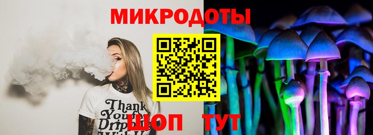 Галлюциногенные грибы Psilocybine cubensis Дагестанские Огни